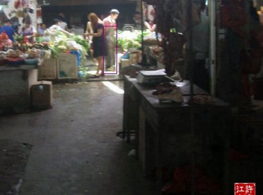 中元节:灰灰兄弟逛市场