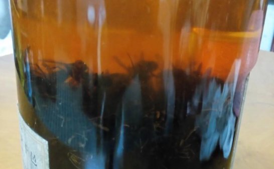 【灵异】那些流传多年的荒诞惊悚的事儿