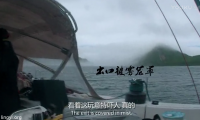 【补全】那些流传多年的荒诞惊悚的事儿(海洋篇+破译篇)