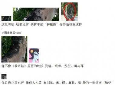 拍灵异照中的“死图”与“活图”