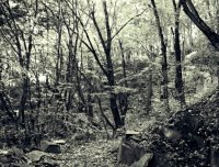 去深山老林千万不要拍照