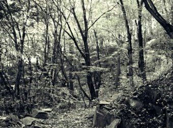 去深山老林千万不要拍照