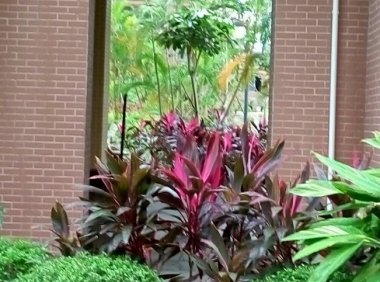 门外奇异的“黑白照片”