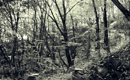 去深山老林千万不要拍照