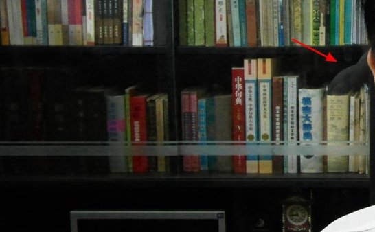 我书房里的灵异客