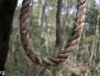 多年疑惑33——《一世俗缘修真虚》上