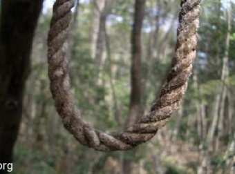 多年疑惑33——《一世俗缘修真虚》上