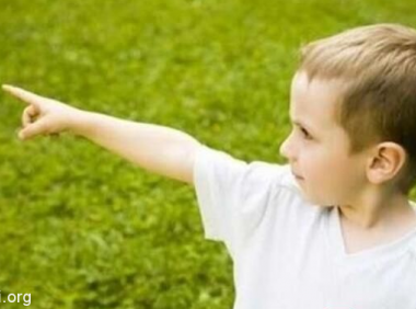 3岁男孩找到自己前世的尸体,破解谋杀谜案!!