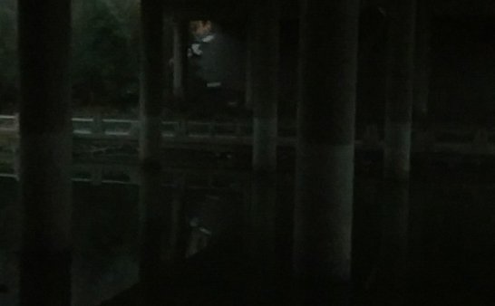 一张诡异的照片