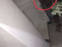 我好像拍到鬼了