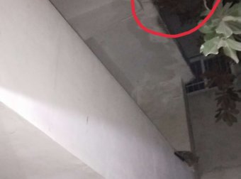 我好像拍到鬼了