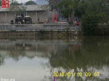 震撼：岭南圣母（冼太夫人）故里灵异特展（二）