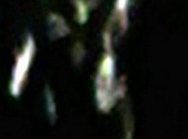  鹧鸪天·双灵舞