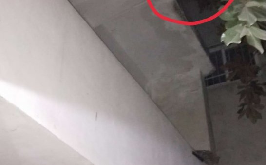 我好像拍到鬼了