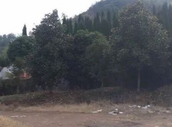 ️【探灵记】之轿