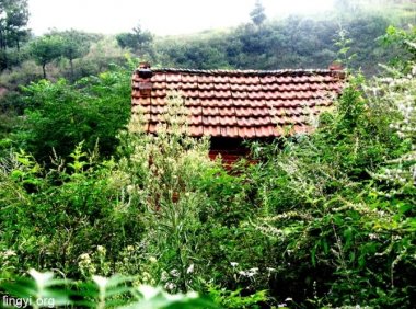 一花一世界，一叶一菩提