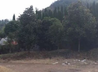 ️【探灵记】之轿