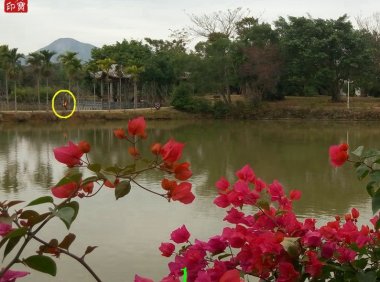 震撼:岭南圣母(冼太夫人)故里灵异特展(七)