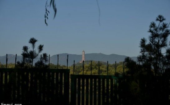 爷爷的恐怖经历