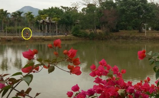 震撼:岭南圣母(冼太夫人)故里灵异特展(七)