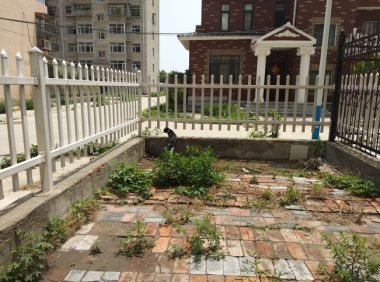 亲身经历之☞鬼上身（续）