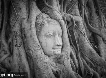 多年疑惑31——《我的排长》