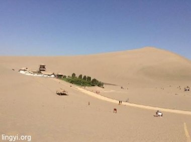 多年疑惑十七——《那朵花》