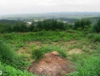 本人故事很长，都是真实经历，关注我看完我的故事，你会相信世界上有鬼