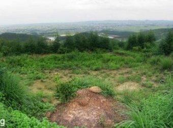 本人故事很长，都是真实经历，关注我看完我的故事，你会相信世界上有鬼