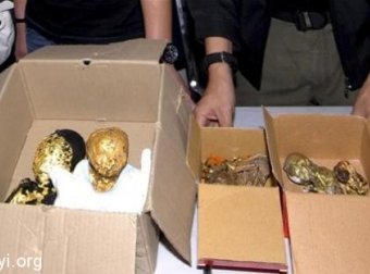 真实经历之46：家中养鬼