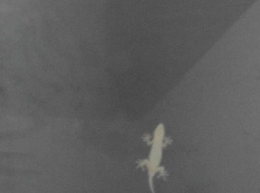 20岁到了，心里的担忧成了现实？巧合？诡异？