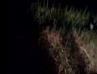 凉山彝族自治州田间拍到小鬼