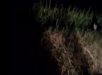 凉山彝族自治州田间拍到小鬼