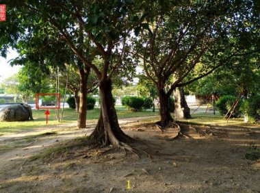 灵异照片：灵异怪车