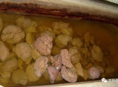 一堆「人脑」泡在浴缸里……11位网友在废墟拍到的极恐画面