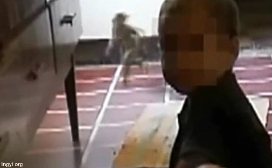 女子家中拍到诡异人形生物