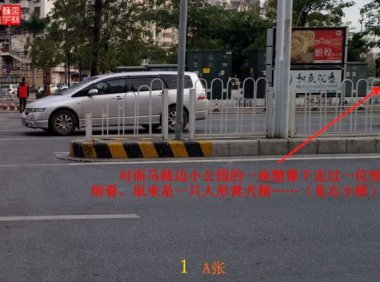 灵异照片：追拍黄犬精