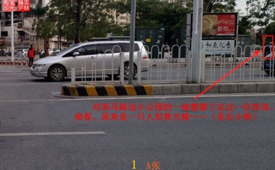 灵异照片:追拍黄犬精