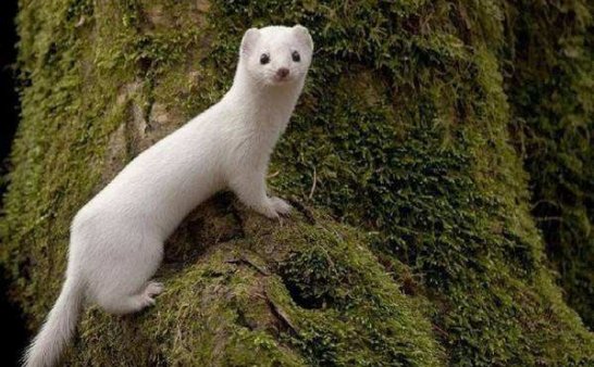 越战老兵讲述他的第一次奇异狩猎经历