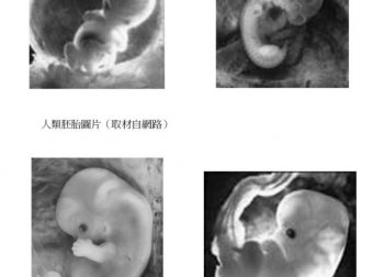 鬼学 第四十六章 「婴灵」的样貌（下篇）