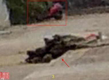 灵异照片：宅外之灵