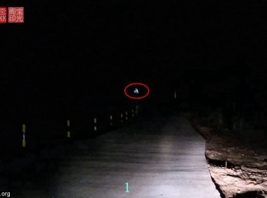 灵异照片：谁认识这两个灵异动物？