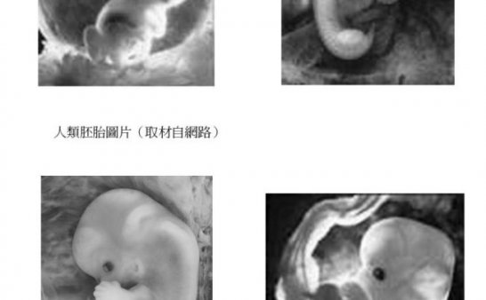 鬼学 第四十六章 「婴灵」的样貌(下篇)