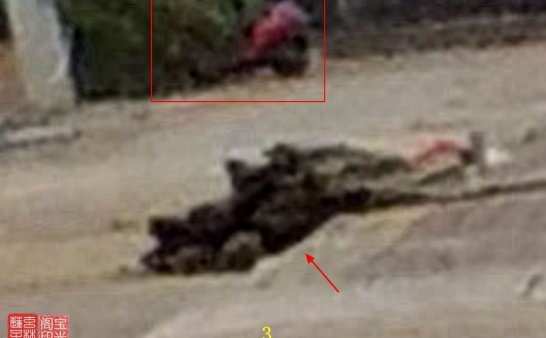 灵异照片:宅外之灵