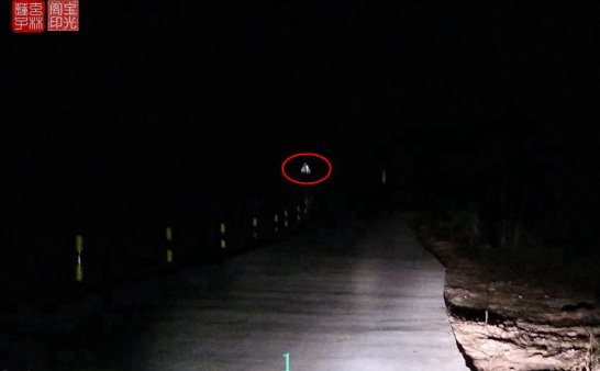 灵异照片:谁认识这两个灵异动物?