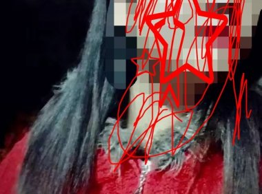 猫十七:照片上有东西