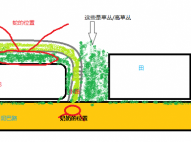 长着鸡冠的蛇~水猴子~鬼压床~