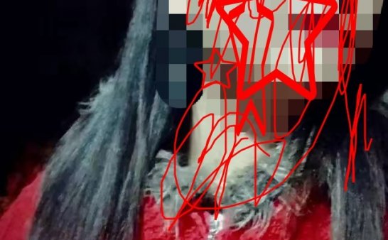 猫十七:照片上有东西