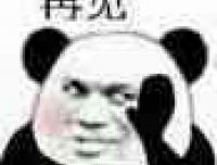 猫十七:神仙附身?