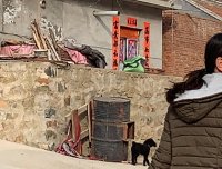 梦境因果,前世今生还是平行宇宙中另一个我的经历